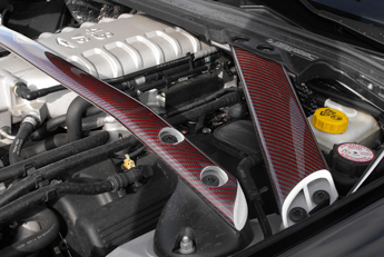 Engine Strut Braces