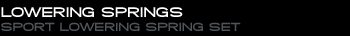 Lowering Springs
